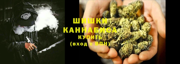 прущие грибы Аркадак