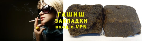прущие грибы Аркадак