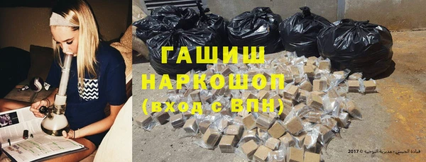 прущие грибы Аркадак