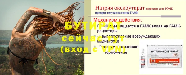 прущие грибы Аркадак