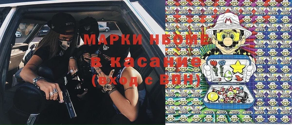 сатива Армянск