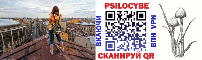 Псилоцибиновые грибы Magic Shrooms  Валдай 